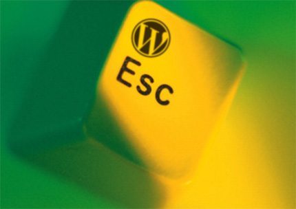 Escape WordPress Errors