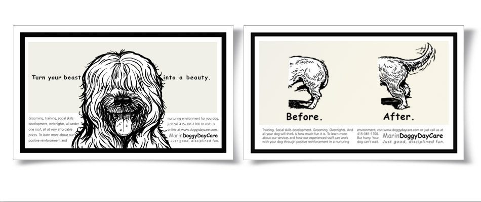Marin DoggyDayCare Advertising — pruneau | Teamworks Communications